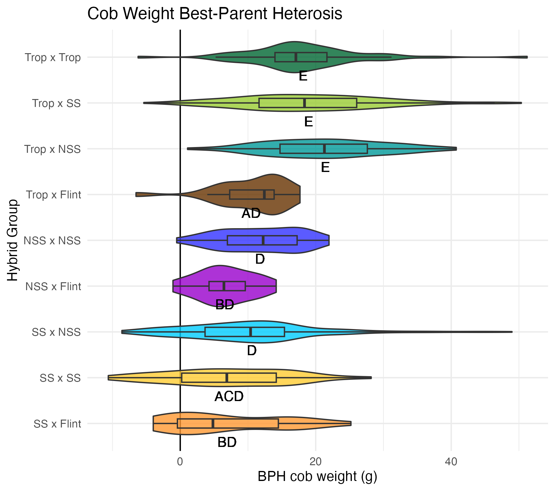 BPH cob weight