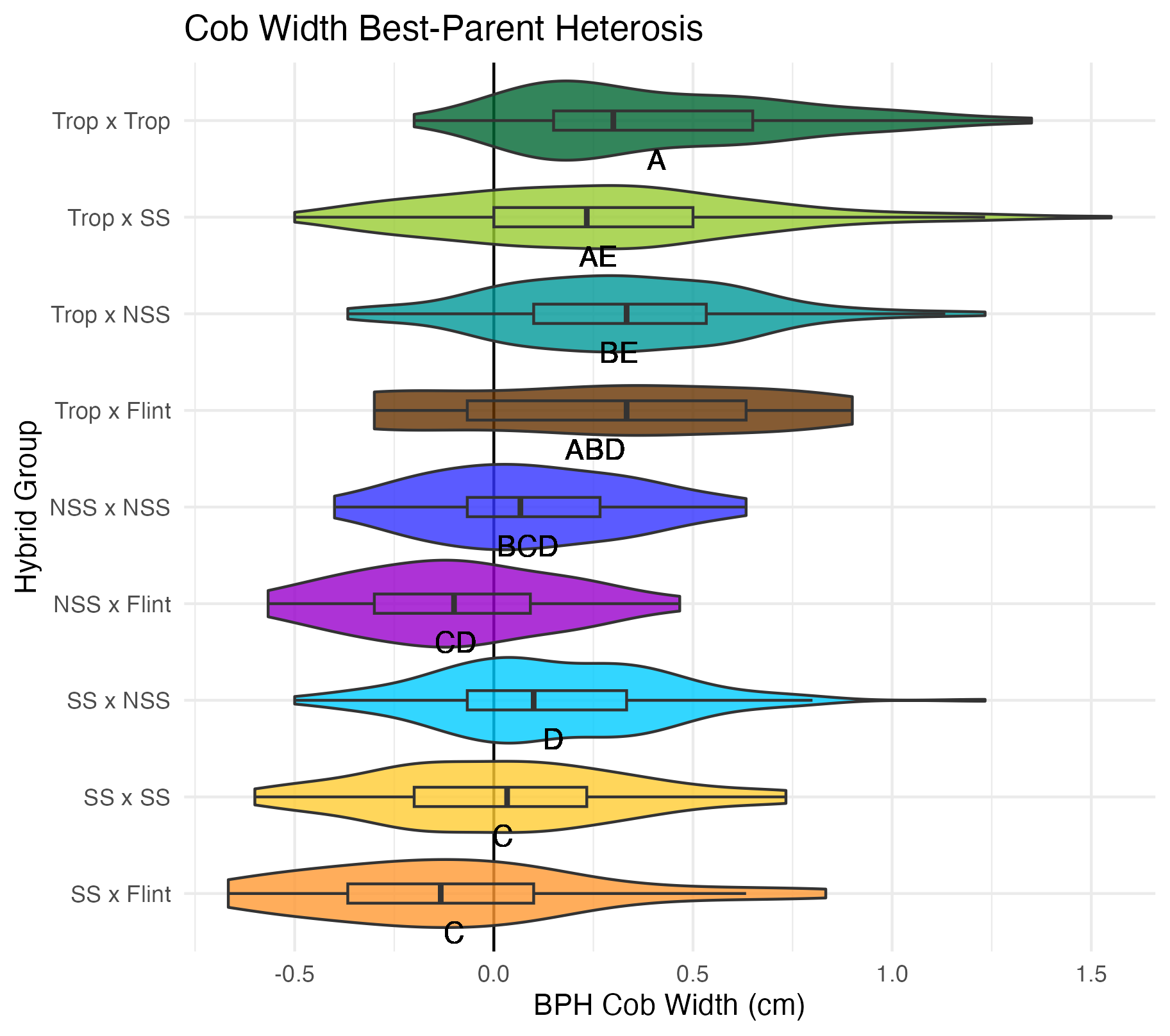 BPH cob width