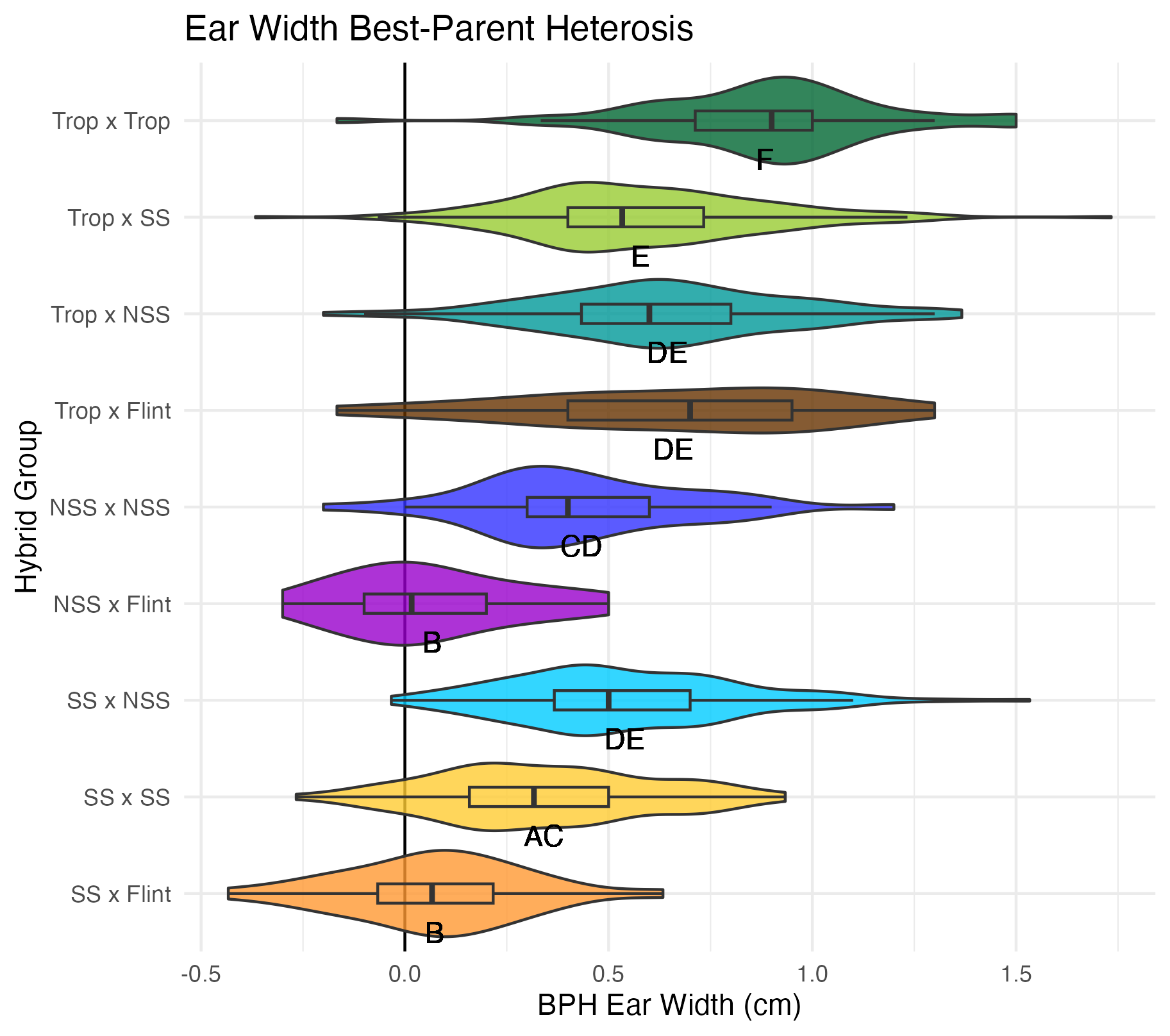 BPH ear width