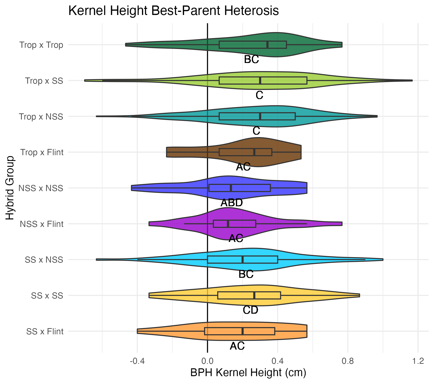 BPH kernel height