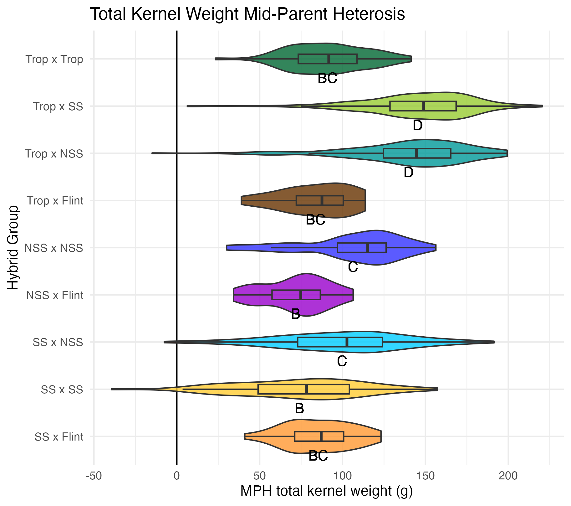 MPH total kernel weight